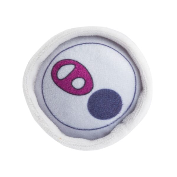 White Paw Bark Cherry Hound Seltzer Toy - Image 3
